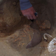 Some monkeys were found buried next to sea shells and broken pottery.